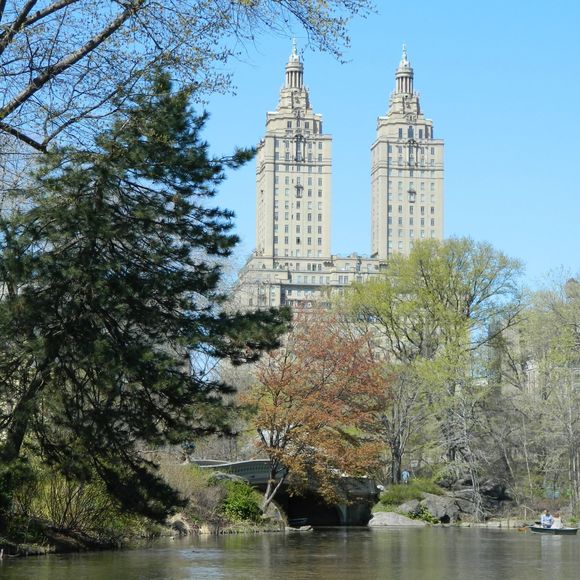 Meet your Posher, Dawn - Picture 1 of 1